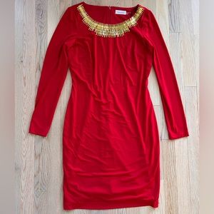 Calvin Klein Long Sleeved Dress - New No Tag - Size 6